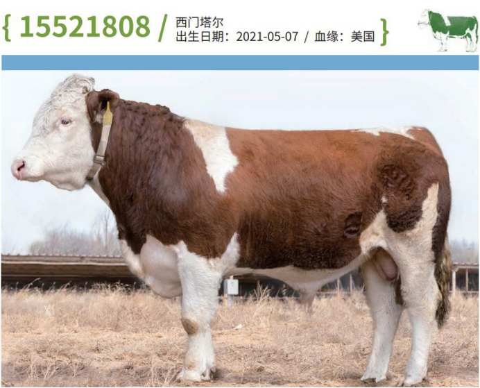 1685417927585841.png 2.png