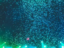 美股多板块股票“直线拉升” 18%标普500成分股年内涨超10% AI与政策变化成主推力