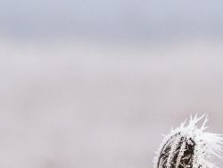 英特爾(INTC.US)指引「潑冷水」 分析師聚焦供應與毛利壓力 18A成關鍵變量