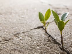港股异动 | 氢能股全线走高，京城机电股份飙涨超54%，云南绿氢补贴政策力度空前，有望提升全国性政策预期
