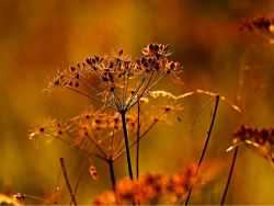 港股异动 | 亚博科技控股(08279)再涨超13% 阿里旗下亚博科技联手港交所 打造数字黄金交易平台