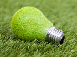 特朗普力推石油钻探时，这位投资总监偏买清洁能源股，如今狠狠打了质疑者的脸