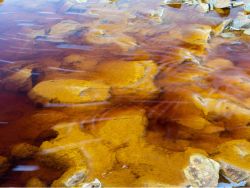 国金证券：工业、战略金属或将成为本轮政府储备需求主角 价格中枢有望明显上移