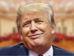 特朗普发文“喊单”Palantir，“大空头”不买账：继续做空、价值不足50美元！