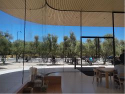 美银称苹果为“最具质量”科技股之一，看好其差异化AI战略，维持“买入”评级