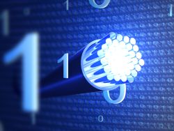 暴涨的美股光通信板块迎来财报季，Needham绩前荐股七只