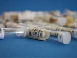 港股异动 | 创新药概念股全线下挫，恒瑞医药大跌3.5%、信达生物跌约2%；机构称高利率或冲击行业估值及融资端